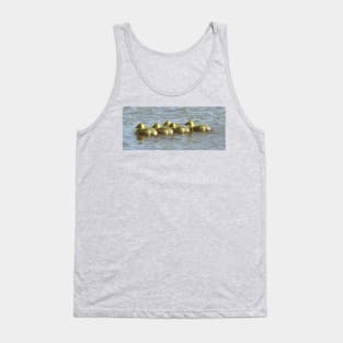 Baby goslings, Canadian Geese, wildlife gifts Tank Top